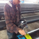 Inspections
